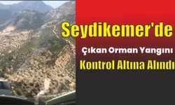 Seydikemer'de çıkan orman yangını kontrol altına alındı