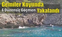 Gemiler koyunda 6 düzensiz göçmen yakalandı