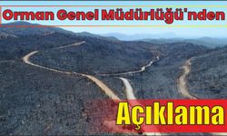 Orman Genel Müdürlüğü’nden Açıklama