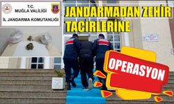 Jandarmadan zehir tacirlerine operasyon