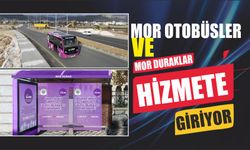 Mor otobüsler ve mor duraklar hizmete giriyor