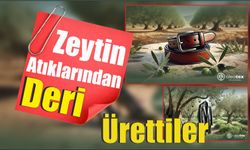 Zeytin Atıklarından Deri Ürettiler