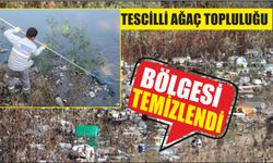 Tescilli Ağaç Topluluğu bölgesi temizlendi