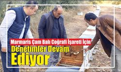 Marmaris Çam Balı Coğrafi İşareti İçin Denetimler Devam Ediyor