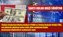 Sahte dolar krizi sürüyor