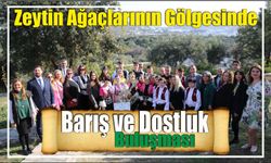 Zeytin Ağaçlarının Gölgesinde Barış ve Dostluk Buluşması