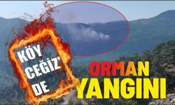 Köyceğiz'de orman yangını