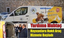 Yardıma Muhtaç Hayvanlara Nakil Araç Hizmete Başladı