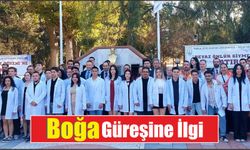 Boğa Güreşine İlgi