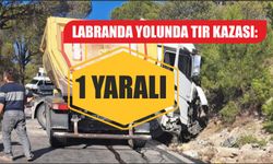 Labranda yolunda tır kazası: 1 yaralı