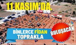 11 Kasım’da, binlerce fidan toprakla buluşacak