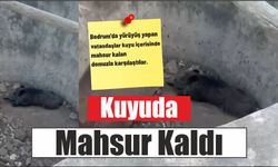 Kuyuda Mahsur Kaldı