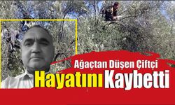 Ağaçtan Düşen Çiftçi Hayatını Kaybetti