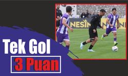 Tek Gol 3 Puan