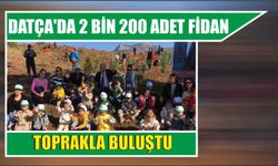 Datça'da 2 bin 200 adet fidan toprakla buluştu