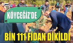 Köyceğiz’de bin 111 fidan dikildi