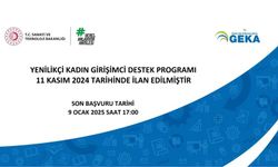 Yenilikçi Kadın Girişimci Destek Programı Belli Oldu