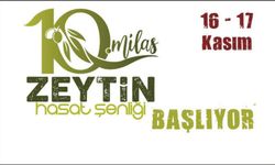 Zeytin Hasat Şenliği 16 Kasım’da