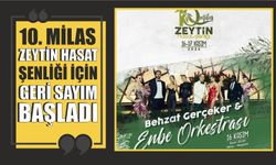 10. MİLAS ZEYTİN HASAT ŞENLİĞİ İÇİN GERİ SAYIM BAŞLADI