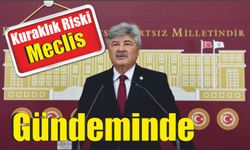 Kuraklık Riski Meclis Gündeminde