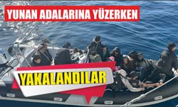 Yunan adalarına yüzerken yakalandılar