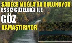 Sadece Muğla'da bulunuyor, eşsiz güzelliği ile göz kamaştırıyor