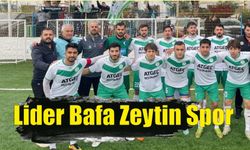 Lider Bafa Zeytin Spor