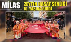 Milas Zeytin Hasat Şenliği 10. Yaşına girdi