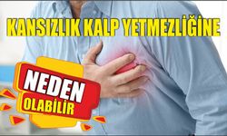 KANSIZLIK KALP YETMEZLİĞİNE NEDEN OLABİLİR