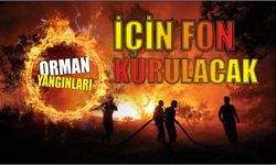 Orman yangınları için fon kurulacak