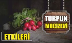 Turpun mucizevi etkileri