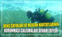 DENİZ ÇAYIRLARI VE MERCAN HABİTATLARININ KORUNMASI ÇALIŞMALARI DEVAM EDİYOR