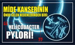 Mide Kanserinin Önde Gelen Nedenlerinden Biri: Helicobacter Pylori!