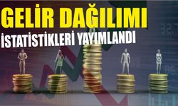 Gelir Dağılımı İstatistikleri yayımlandı