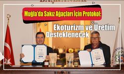 Muğla’da Sakız Ağaçları İçin Protokol: Ekoturizm ve Üretim Desteklenecek