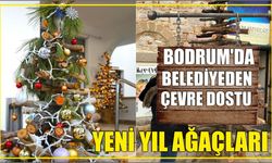 Bodrum'da belediyeden çevre dostu yeni yıl ağaçları