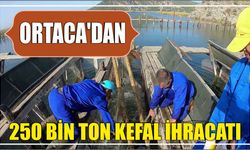 Ortaca'dan 250 bin ton kefal ihracatı