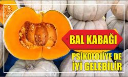 BAL KABAĞI PSİKOLOJİYE DE İYİ GELEBİLİR