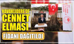 Kavaklıdere’de Cennet Elması Fidanı Dağıtıldı