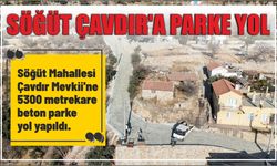 SÖĞÜT ÇAVDIR’A PARKE YOL