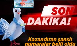 600 Milyon 3 Kişinin