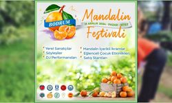 Bodrum Mandalin Festivali Başlıyor