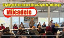 Büyükşehir’den Badem Biti ve Zeytin Zararlılarıyla Mücadele