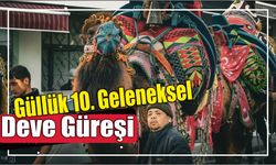 Güllük 10. Geleneksel Deve Güreşi