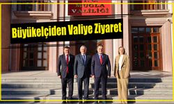 Büyükelçiden Valiye Ziyaret