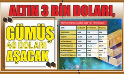 Altın 3 bin doları, gümüş 40 doları aşacak