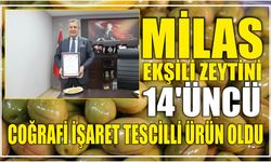 MİLAS EKŞİLİ ZEYTİNİ 14’ÜNCÜ COĞRAFİ İŞARET TESCİLLİ ÜRÜN OLDU