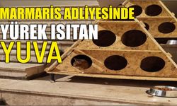 Marmaris Adliyesinde yürek ısıtan yuva