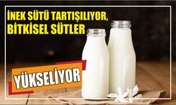 İnek Sütü Tartışılıyor, Bitkisel Sütler Yükseliyor