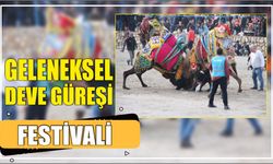 Geleneksel Deve Güreşi Festivali